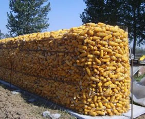 合肥圈玉米电焊网使用案例